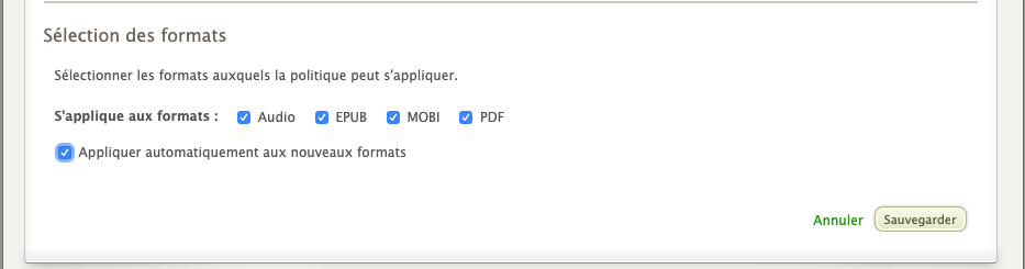 dynamique forrmats.png